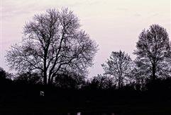 Arche de la Nature - Coucher du soleil