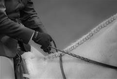 Equitation