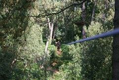 Tyrolienne - Accrobranche