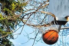 Basket Ball